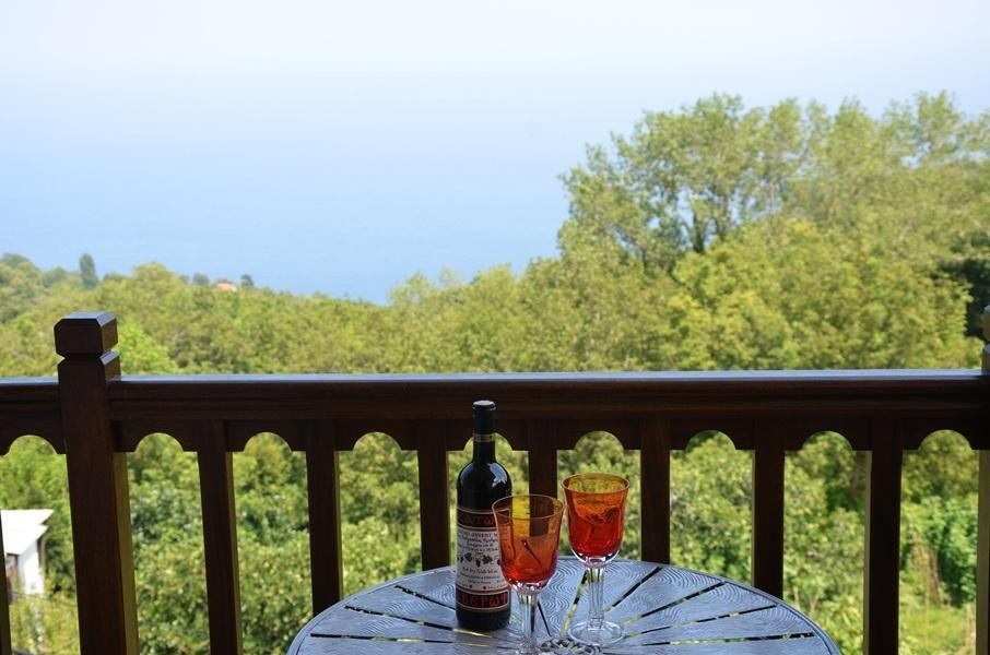 Guesthouse Kalosorisma Tsagkarada Oda fotoğraf